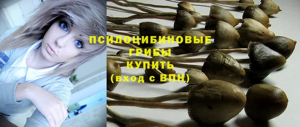 тгк Волосово