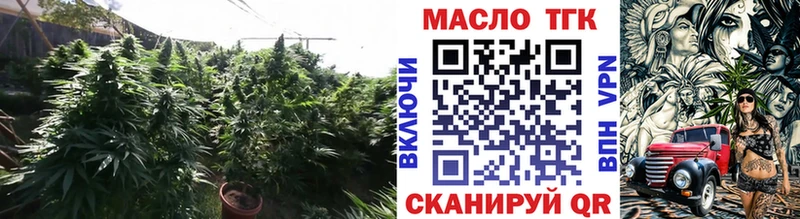 мега ССЫЛКА  Змеиногорск  ТГК гашишное масло 